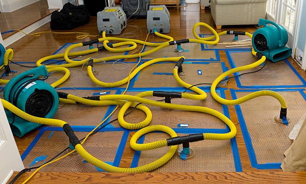Professional Water Extraction technician working in Claude, TX